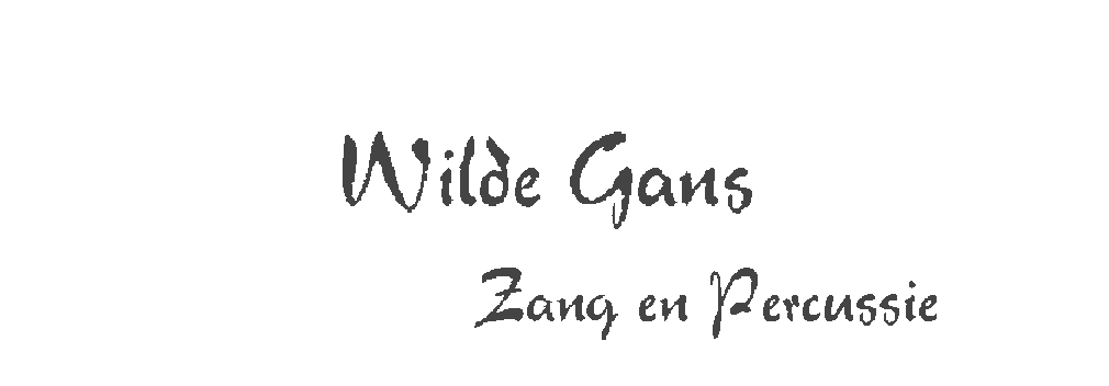 Wilde Gans